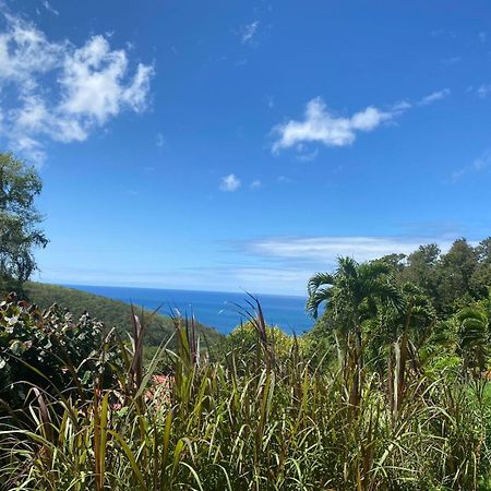 Le Domaine Du Rocher Noir Pointe-Noire Luaran gambar