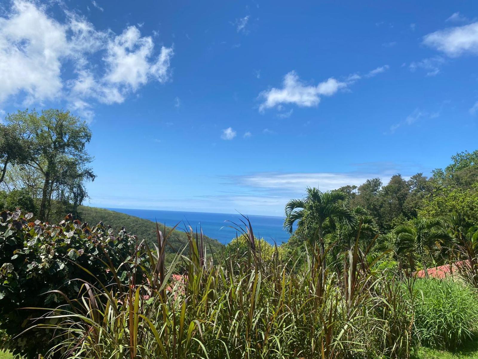 Le Domaine Du Rocher Noir Pointe-Noire Luaran gambar
